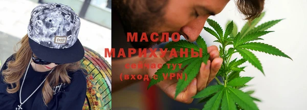 молекула духа Богородицк