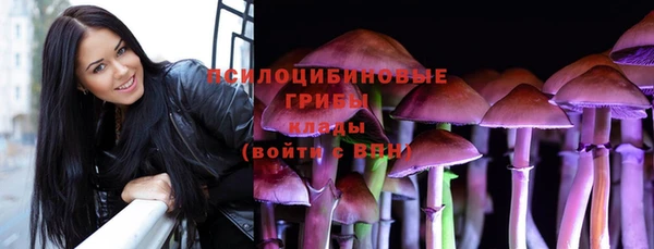 ECSTASY Бронницы