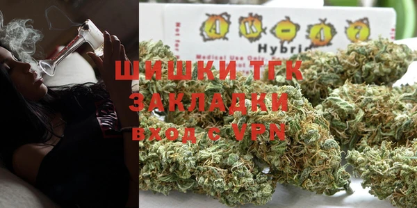 молекула духа Усинск