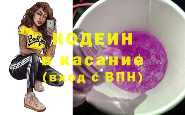 молекула духа Богородицк