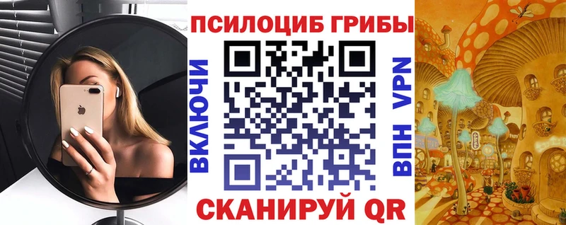 Галлюциногенные грибы мухоморы  мориарти состав  Каменка 